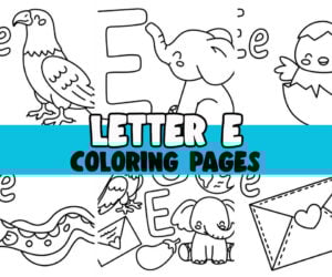 letter e cover