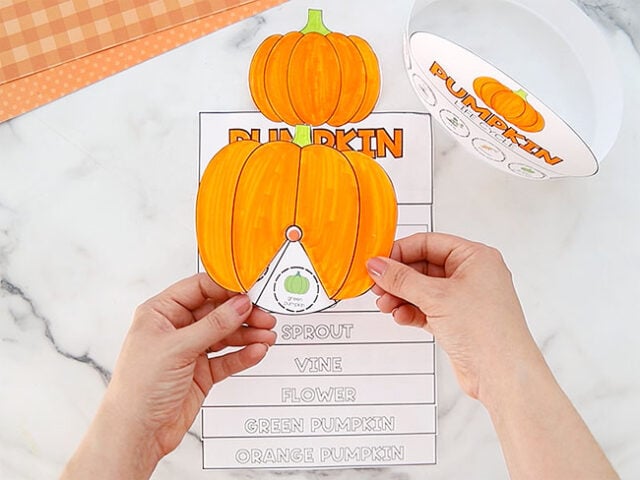 All pumpkin life cycles complete