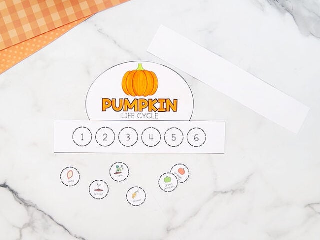 Cut out the shapes