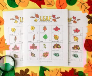 Leaf Scavenger Hunt
