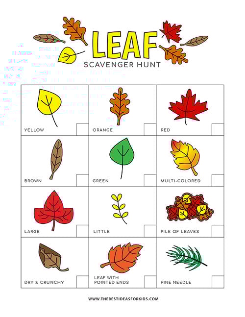 Leaf Scavenger Hunt Free Printable