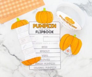 Learning About the Pumpkin Life Cycle cover