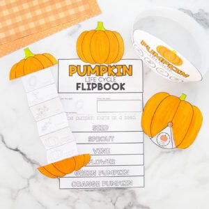 Learning About the Pumpkin Life Cycle cover