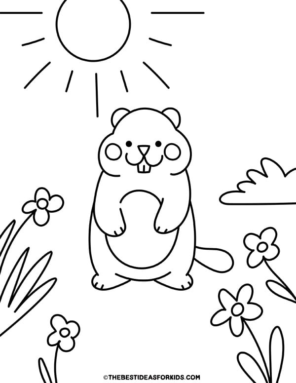 Groundhog with Flowers Coloring Page