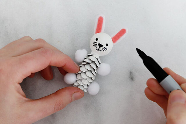 Drawing face onto bunny