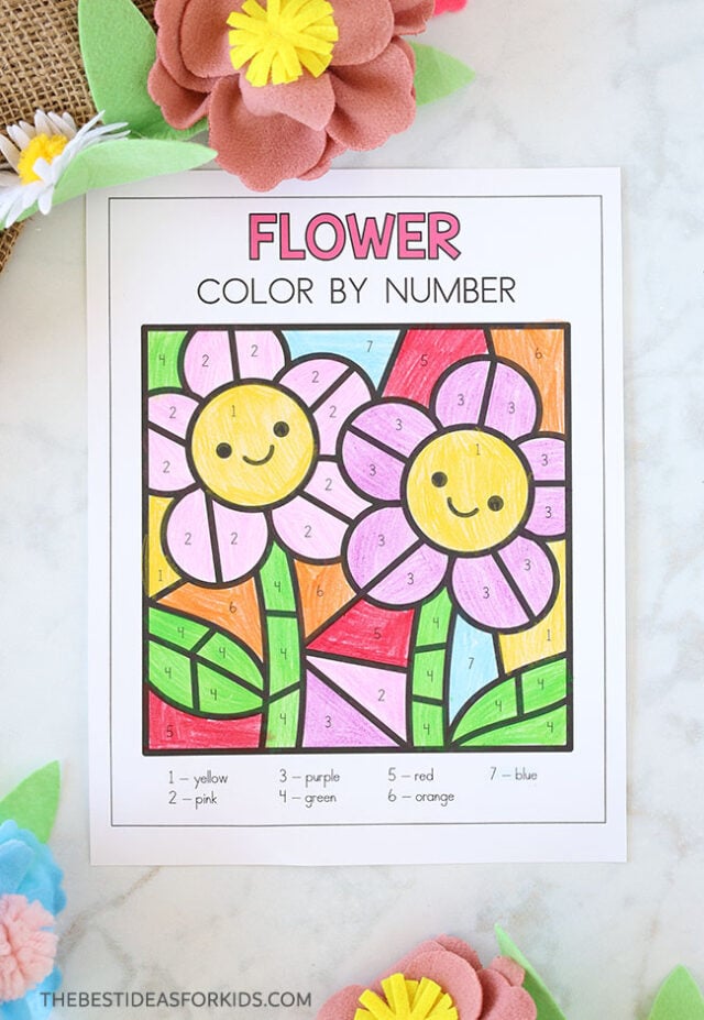 Cute Flower Color by Number Printable