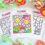 Flower Color by Number