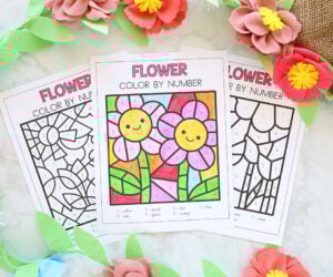 Flower Color by Number