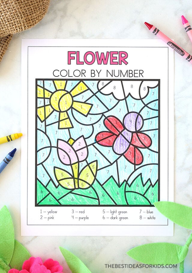 Flower with Butterfly Color by Number