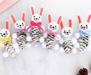 Pine Cone Bunny