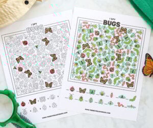 Bug I Spy Sheet