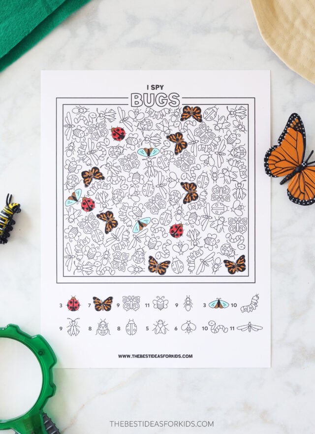 Bug I spy Coloring Page