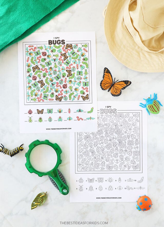Free Printable Bug I spy Sheet