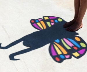diy butterfly wings cover