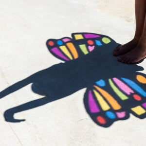 diy butterfly wings cover