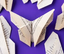 Origami Butterfly