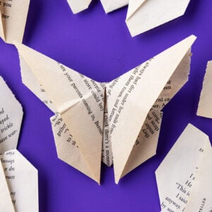 Origami Butterfly
