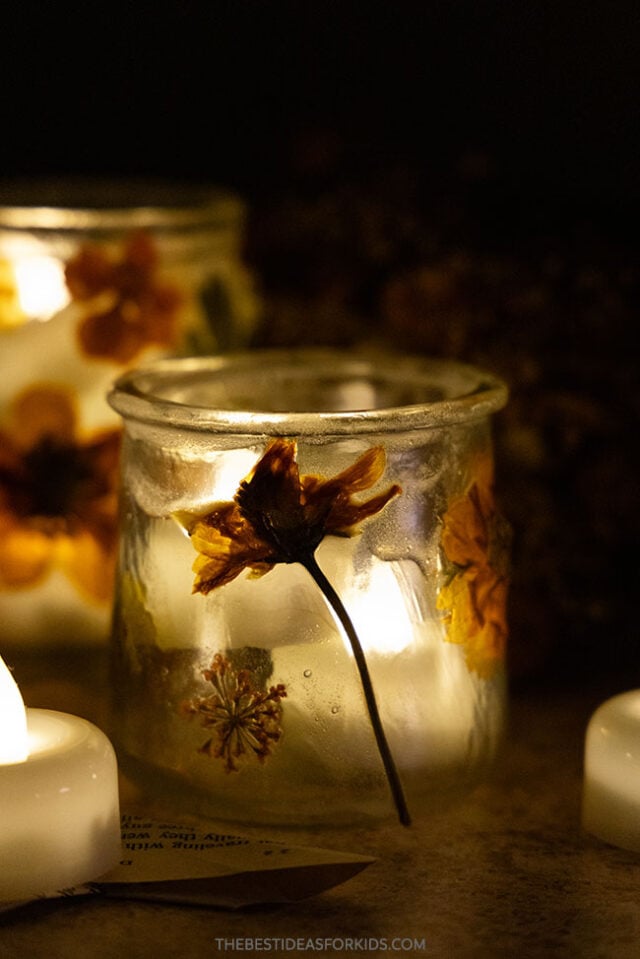 how to make pressed flower lantern