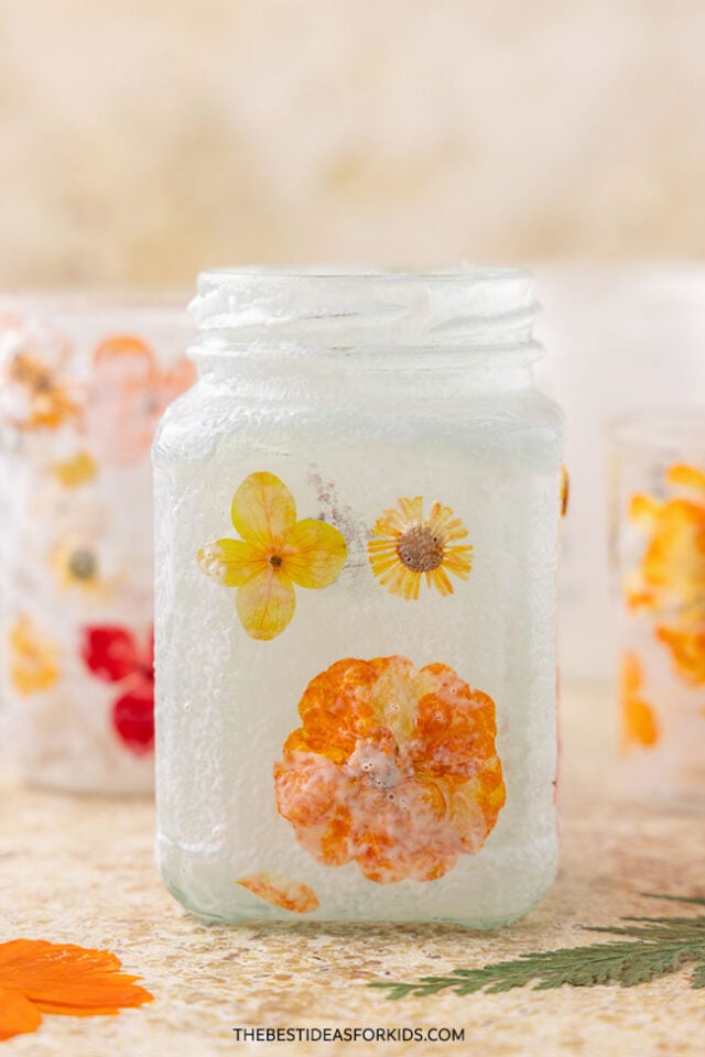 pressed flower lantern diy