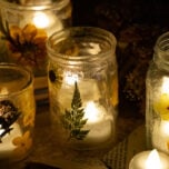 pressed flower lanterns cover