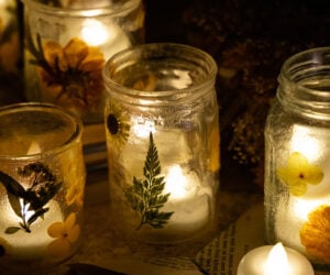 pressed flower lanterns cover