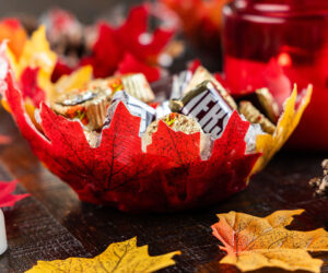 diy leaf bowl cover