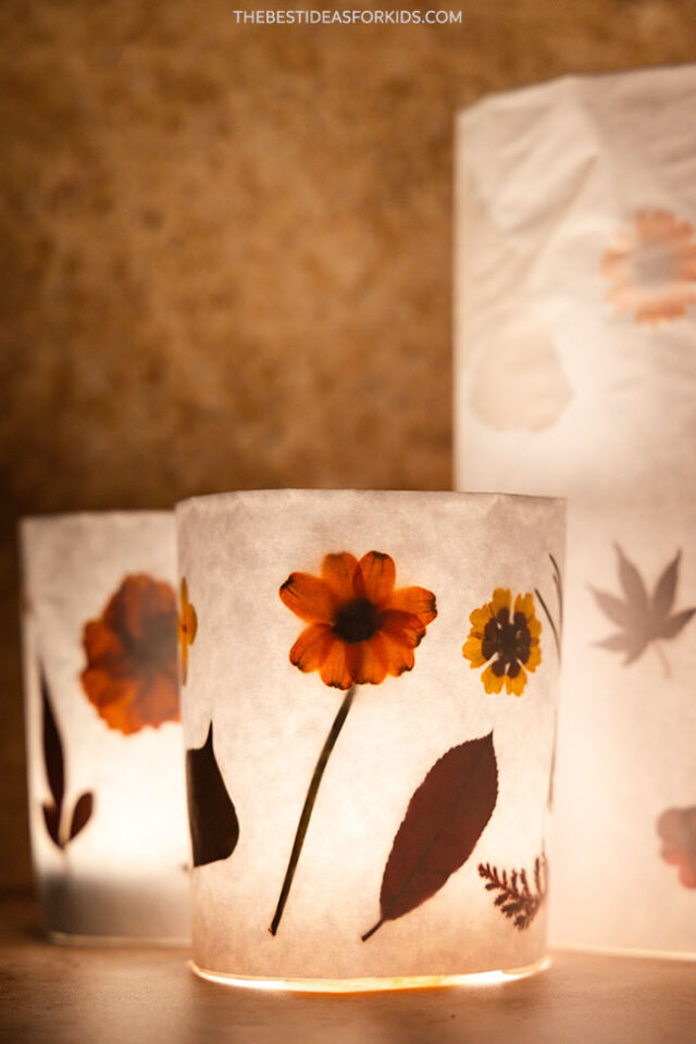 fall leaf luminaries