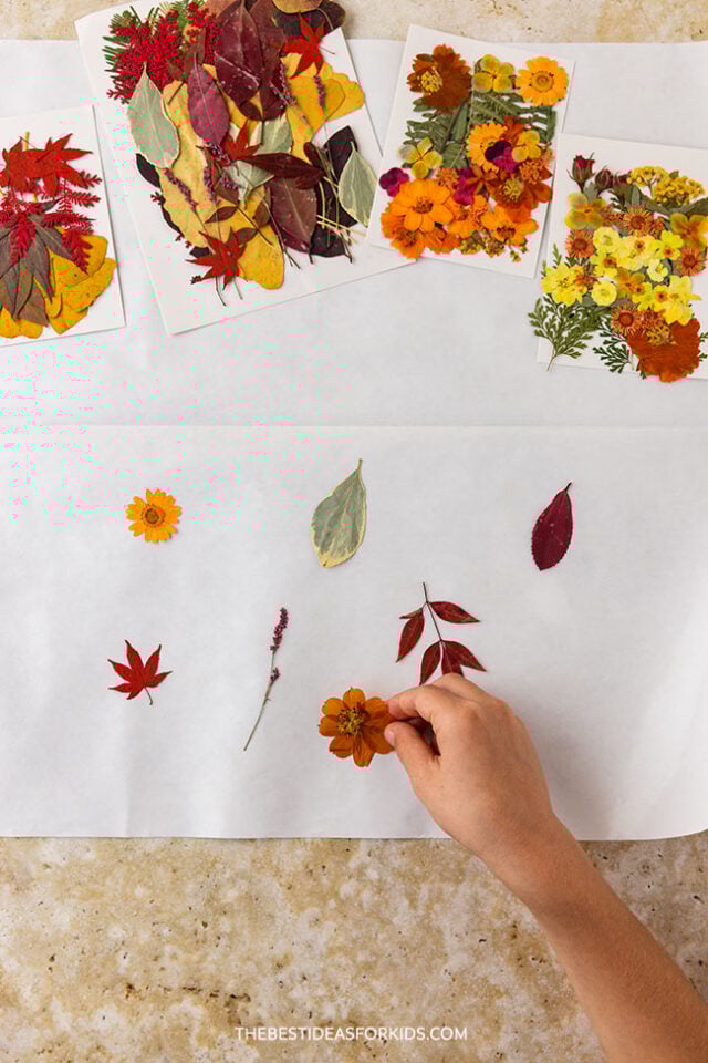 pressed leaf luminary