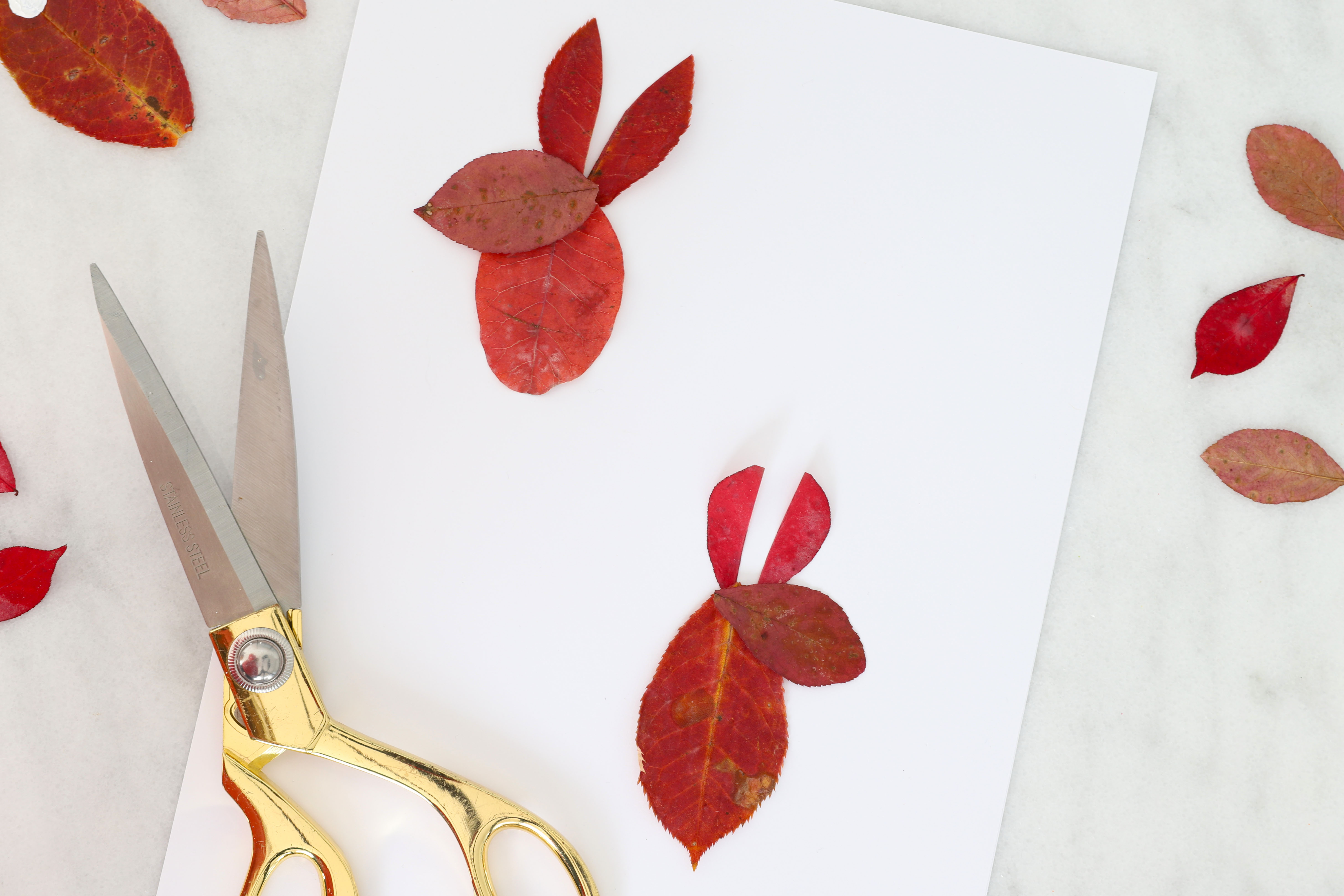 Leaf Rabbit Craft Leaf Animals - The Best Ideas for Kids