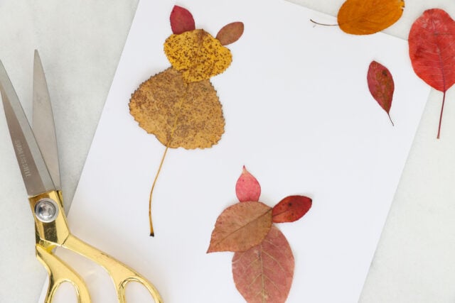 Adding leaf ears to mice