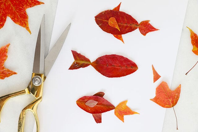 Adding leaf fins to fish