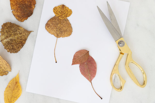 Arranging leaves into mice