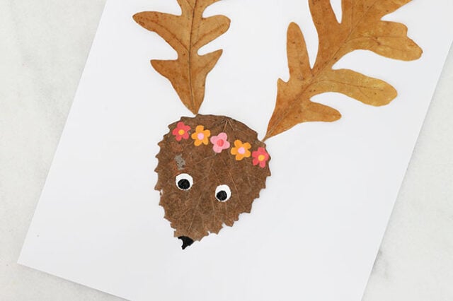 Final details on leaf deer