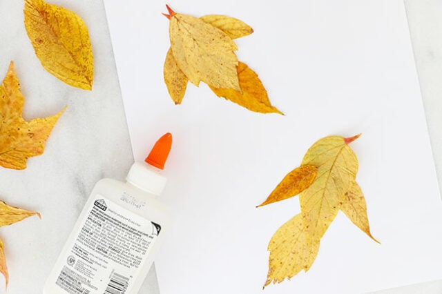 Gluing leaf birds together