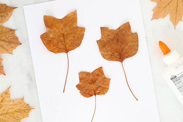 Gluing leaves onto paper for cats