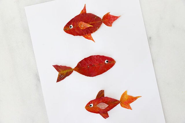 Painting eyes onto fish