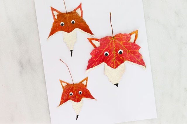 Painting fox face details