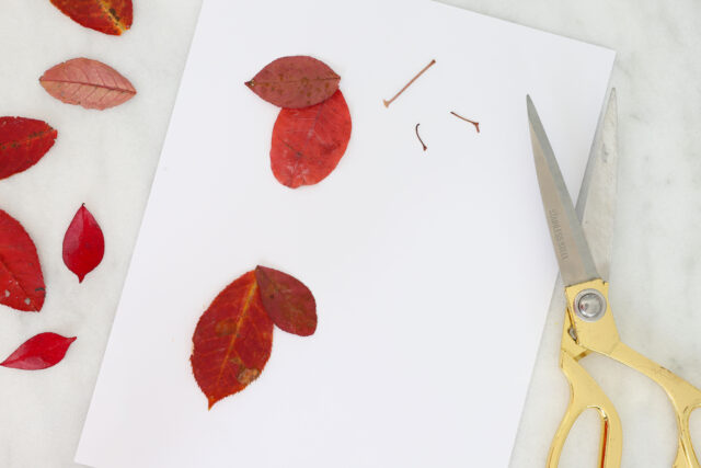 Trimming stems off leaves for bunnies