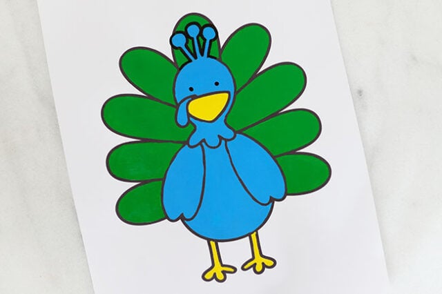 Color in peacock body