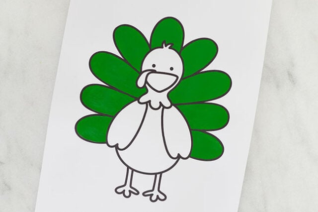 Color in the turkey tailfeathers