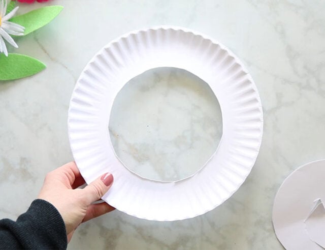 Cut out Center of Paper Plate