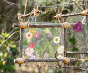 DIY Nature Stick Frame