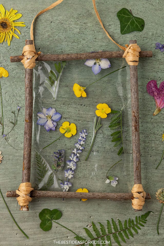 Nature Stick Frame Craft