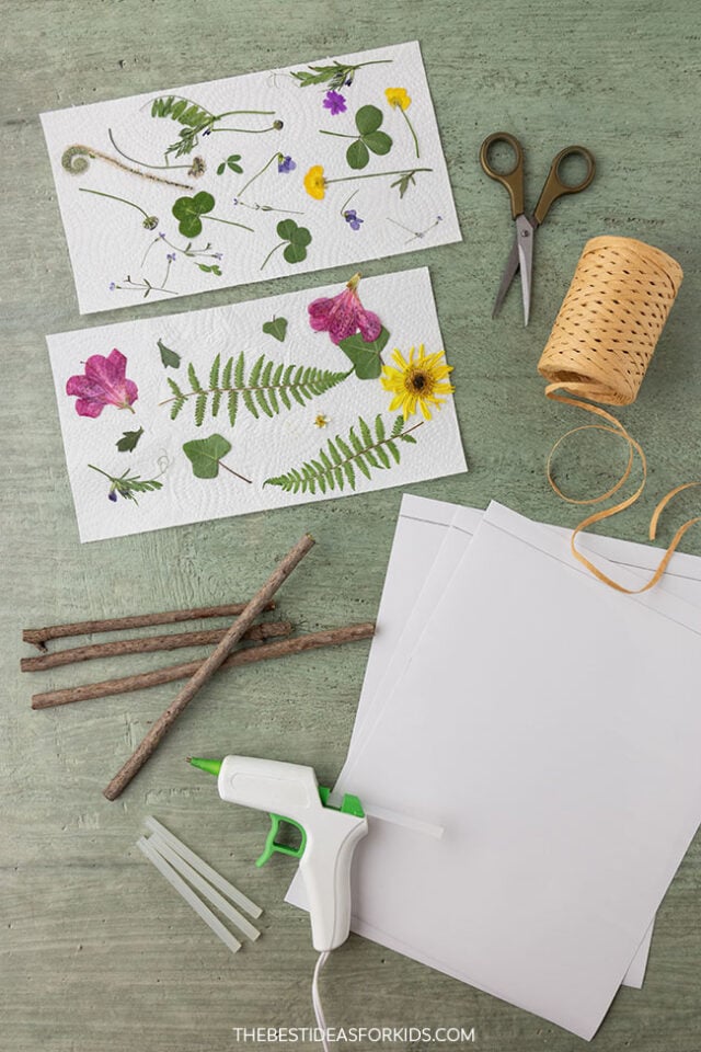 Supplies for a Nature Frame