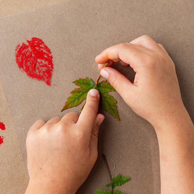 Print the leaf on the plastic sheet